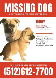 Lost Male Dog last seen Congress , Austin, TX 78745