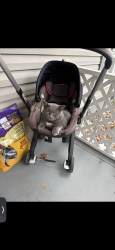 Lost Male Cat last seen stone park dr 28269, Charlotte, NC 28269