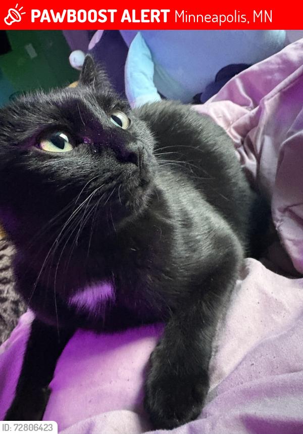 Lost Female Cat last seen 51st & Thomas, Minneapolis, MN 55430