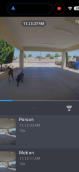 Found/Stray Male Dog last seen 29th street/paradise ln, Phoenix, AZ 85032