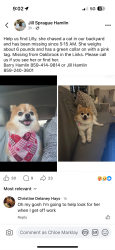 Lost Female Dog last seen The Links , Oakbrook, KY 41042