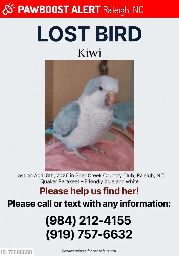 Lost Unknown Bird last seen Brier Creek Golf course , Raleigh, NC 27617