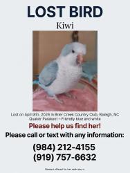 Lost Unknown Bird last seen Brier Creek Golf course , Raleigh, NC 27617
