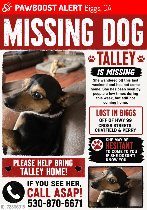 Lost Female Dog last seen CHATTFIELD, Biggs, CA 95917