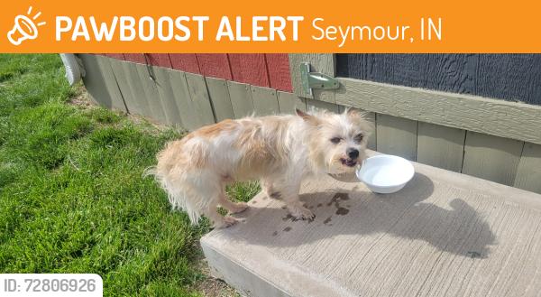 Found/Stray Male Dog last seen kasting park, Seymour, IN 47274