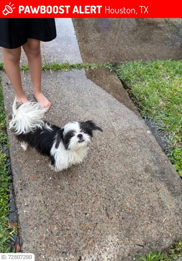 Lost Male Dog last seen Wallisville , Houston, TX 77015