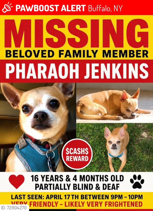 Lost Male Dog last seen Humboldt pkwy, Buffalo, NY 14208