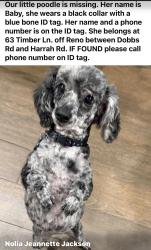 Lost Female Dog last seen Reno/Dobbs, Harrah, OK 73045