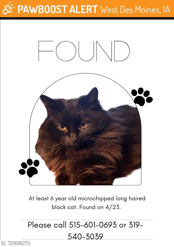Found/Stray Female Cat last seen Mills Civic and S91st Street, West Des Moines, IA 50266