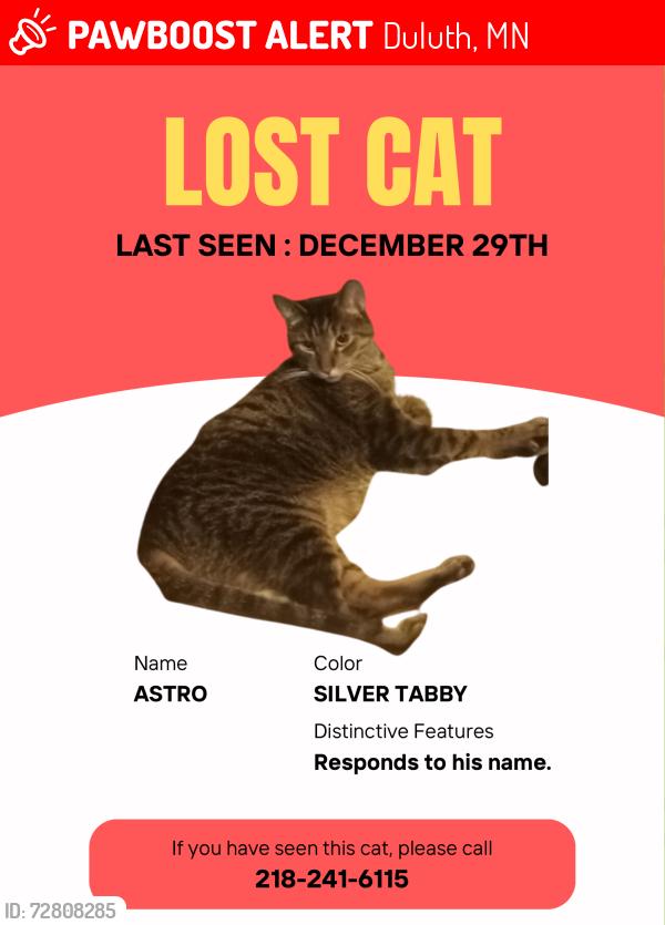Lost Male Cat last seen Otsego, Duluth, MN 55804