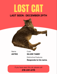 Lost Male Cat last seen Otsego, Duluth, MN 55804