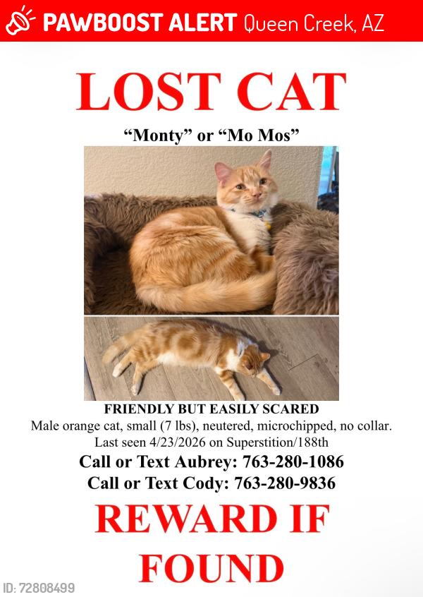 Lost Male Cat last seen 188th and superstition drive, Queen Creek, AZ 85142