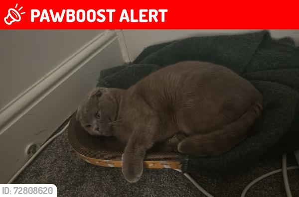 Lost Male Cat last seen Waterloo road, Forest receation ground, Nottingham, England NG7 4AU