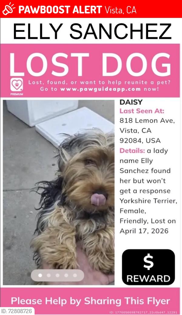 Lost Female Dog last seen Rain tree pal , Vista, CA 92084