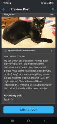 Lost Male Cat last seen Chisca Ave and Greer, Memphis, TN 38111