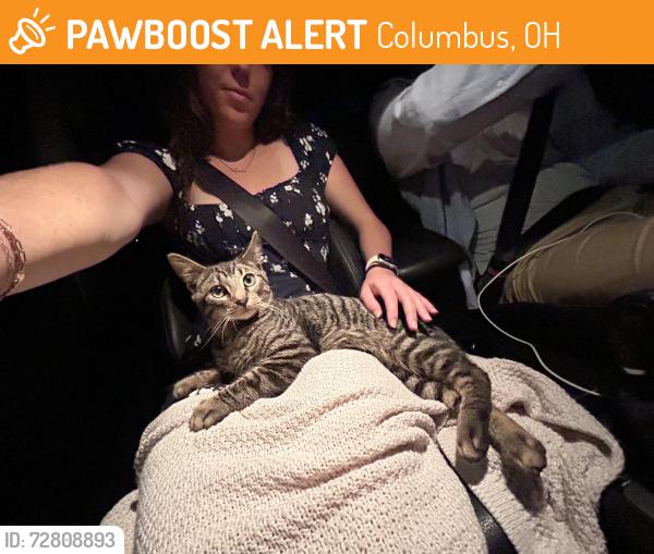 Found/Stray Male Cat last seen Rodizo Grill, Columbus, OH 43215