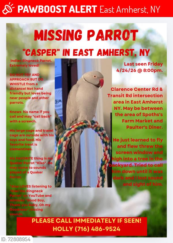 Lost Unknown Bird last seen Transit Rd & Clarence Center Rd area, East Amherst, NY 14051