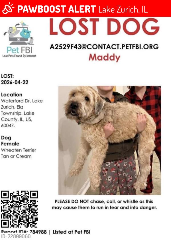 Lost Female Dog last seen Near Waterford Dr, Lake Zurich, Lake Zurich, IL 60047