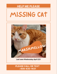 Lost Male Cat last seen N Thompson dr, Madison, WI 53704