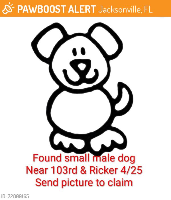 Found/Stray Male Dog last seen 103rd and Ricker, Jacksonville, FL 32244