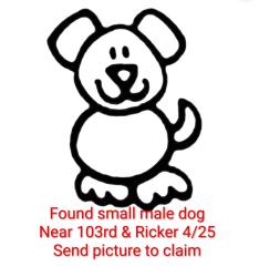 Found/Stray Male Dog last seen 103rd and Ricker, Jacksonville, FL 32244