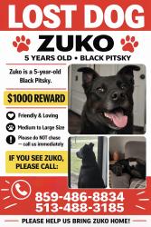 Lost Male Dog last seen Cherry Tree LN, Erlanger, KY 41018