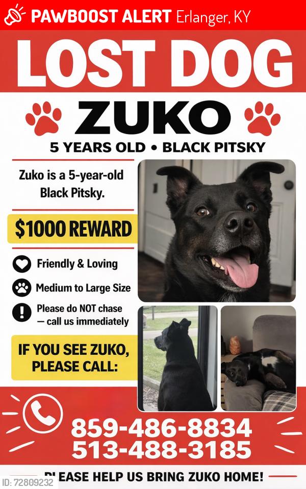 Lost Male Dog last seen Cherry Tree LN, Erlanger, KY 41018