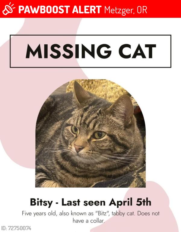Lost Female Cat last seen Metzger Park, Metzger, OR 97223