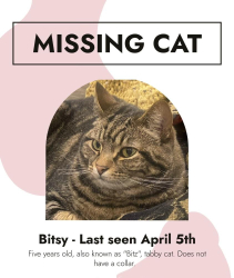 Lost Female Cat last seen Metzger Park, Metzger, OR 97223