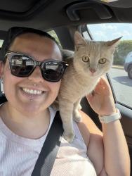 Found/Stray Male Cat last seen The Mercantile Rock Hill , Rock Hill, SC 29730
