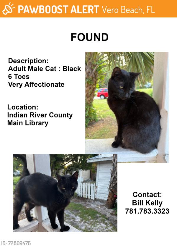 Found/Stray Male Cat last seen Indian County Main Library, Vero Beach, FL 32960