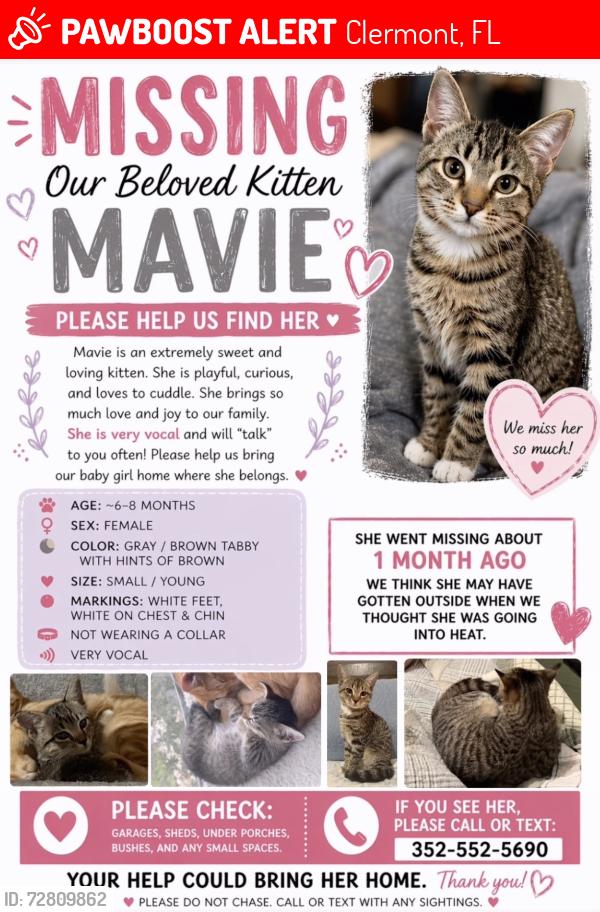 Lost Female Cat last seen Lake Nellie, Clermont, FL 34714