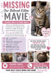 Lost Female Cat last seen Lake Nellie , Clermont, FL 34714
