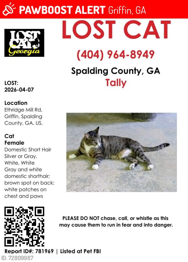Lost Female Cat last seen Ethridge Mill Rd , Griffin, GA 30224