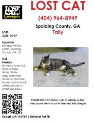 Lost Female Cat last seen Ethridge Mill Rd , Griffin, GA 30224