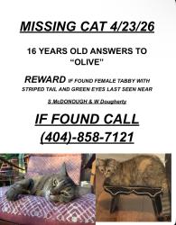 Lost Female Cat last seen S Mcdonough and W Dougherty , Decatur, GA 30030
