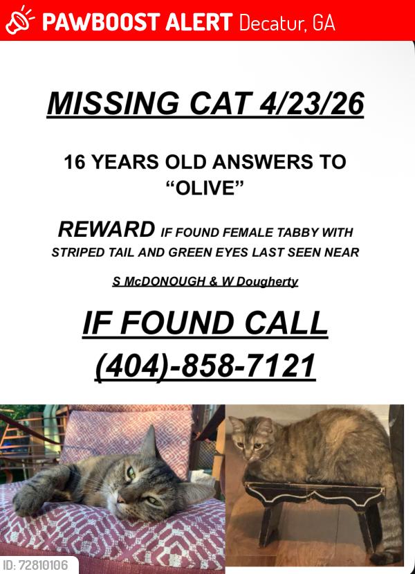 Lost Female Cat last seen S Mcdonough and W Dougherty , Decatur, GA 30030