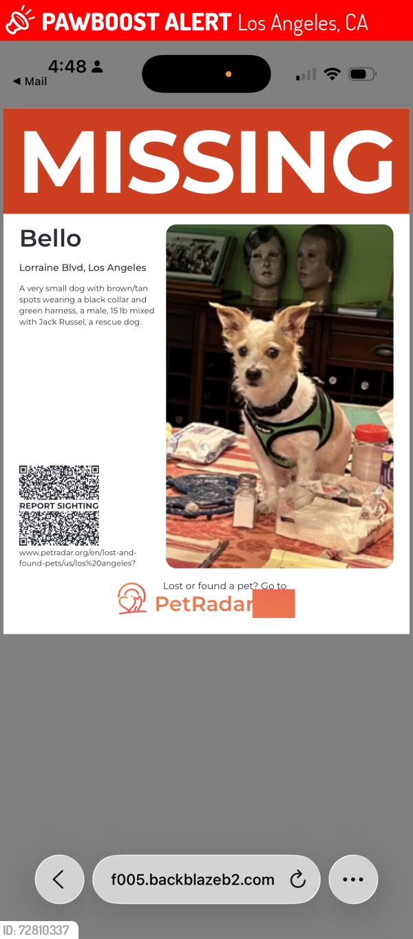 Lost Male Dog last seen 3rd st 4th st, Los Angeles, CA 90010