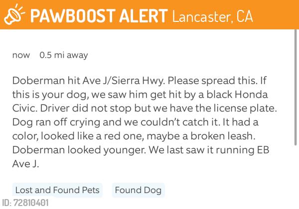 Found/Stray Unknown Dog last seen Ave J and Sierra Highway, Lancaster, CA 93535