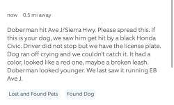 Found/Stray Unknown Dog last seen Ave J and Sierra Highway, Lancaster, CA 93535