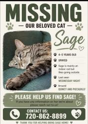 Lost Female Cat last seen Near E Quincy Ave Aurora CO, Aurora, CO 80015