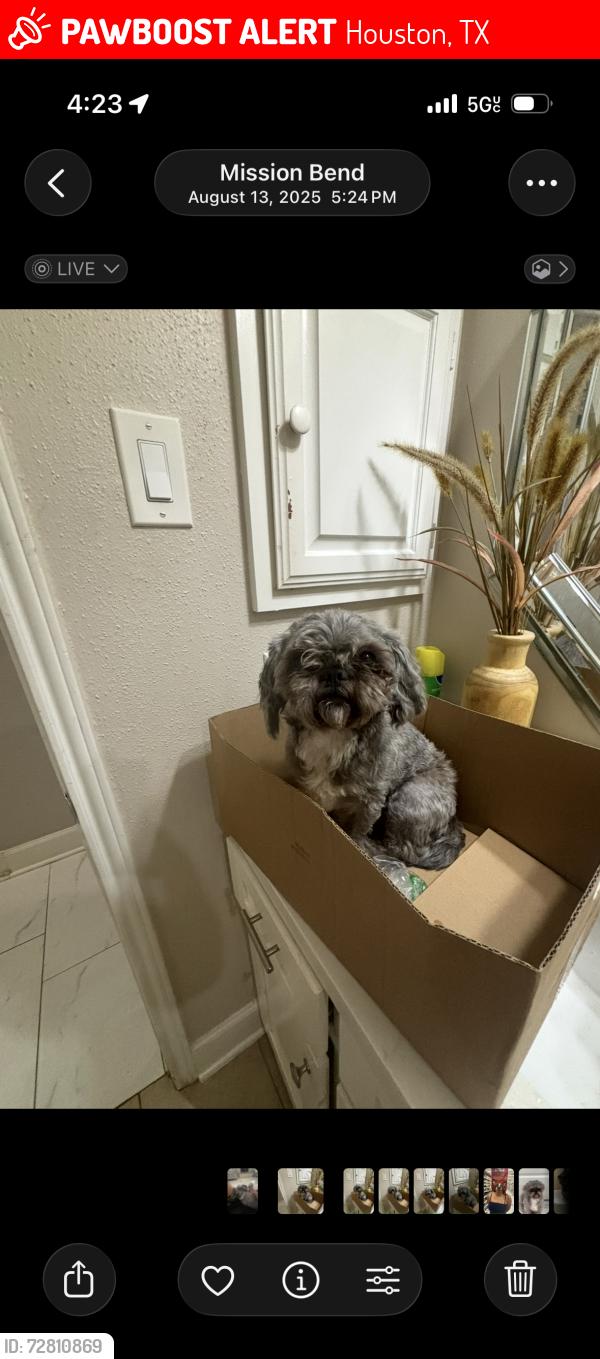 Lost Male Dog last seen Near Soledad dr, Houston, TX 77083