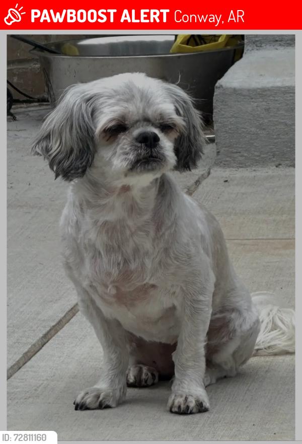 Lost Female Dog last seen Centennial Club Dr & Tyler St, Conway, AR 72034
