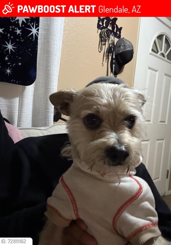 Lost Male Dog last seen Near north 43 Dr , Glendale, AZ 85301