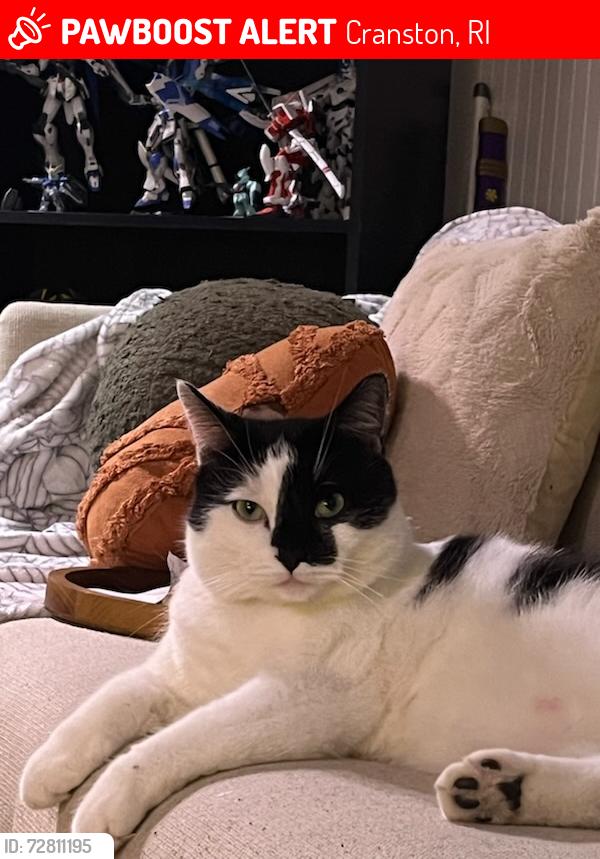 Lost Male Cat last seen Doric Park  , Cranston, RI 02910