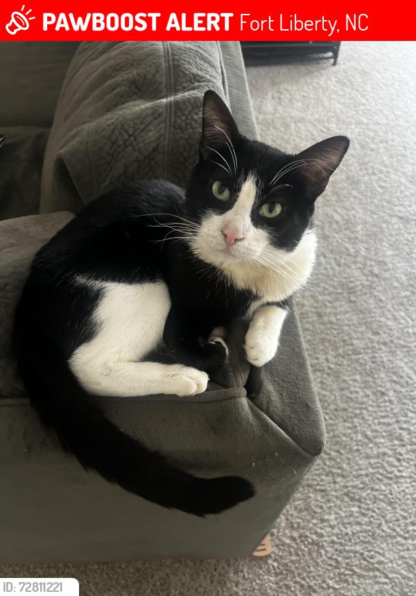 Lost Male Cat last seen On base, Fort Liberty, NC 28307