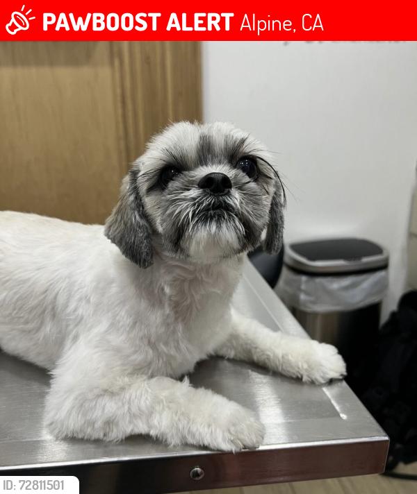 Lost Female Dog last seen Viejas Casino Resort, Alpine, CA 91901