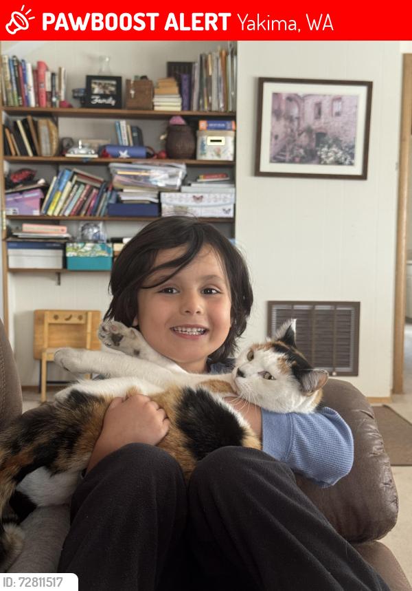 Lost Female Cat last seen Fruitvale, Yakima, WA 98902