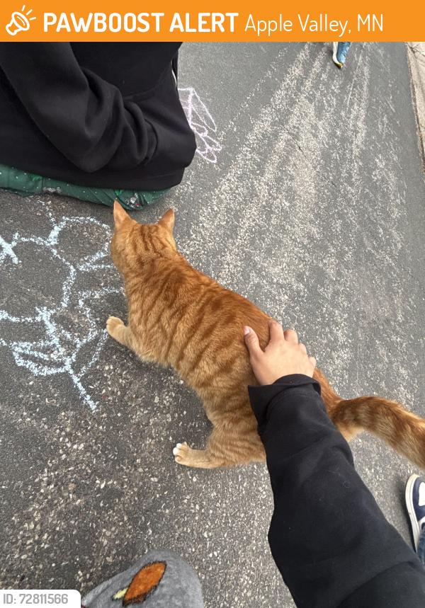 Found/Stray Male Cat last seen Near greentree ct, Apple Valley, MN 55124
