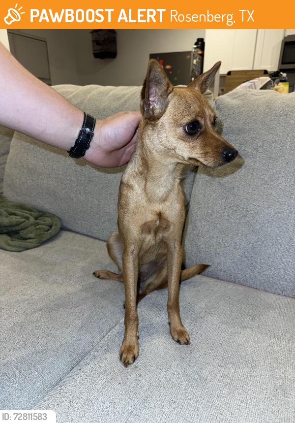 Found/Stray Male Dog last seen Near FM-762 Rd Rosenberg, TX 77469 United States, Rosenberg, TX 77471